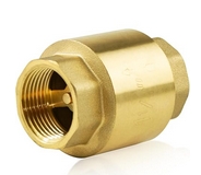 spring check valve